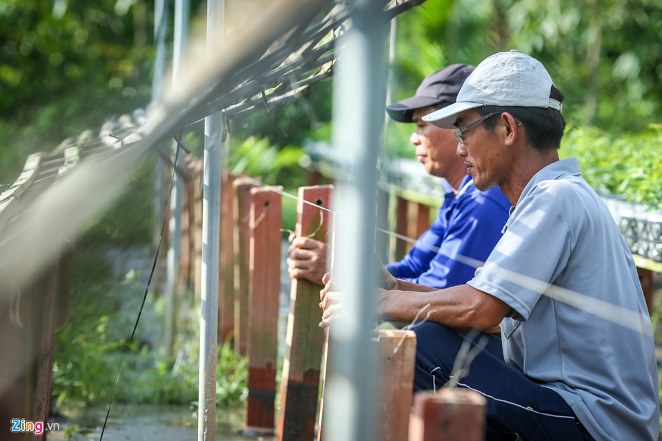 Hoa hồng Sa Đéc cháy hàng trước Tết